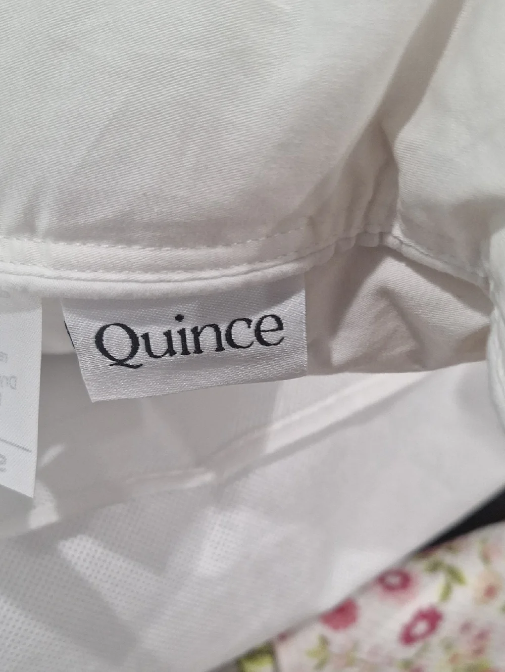 Quince White & Cream Luxe goose Down Pillow